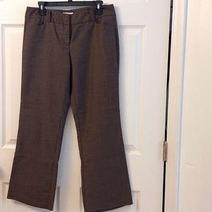NY&Co dressy brown pants 10P